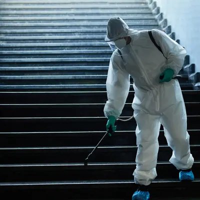 Απολυμάνσεις χώρων Πειραιάς - Cleeman